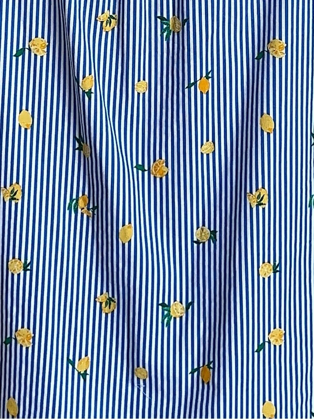 J. Crew Blue Striped Lemon Print Square Neck Puff Sleeve Top Size Small